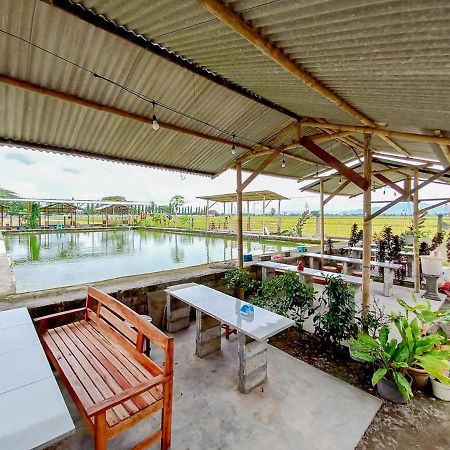 Citra Green House Syariah Near Universitas تولونغاغونغْ المظهر الخارجي الصورة